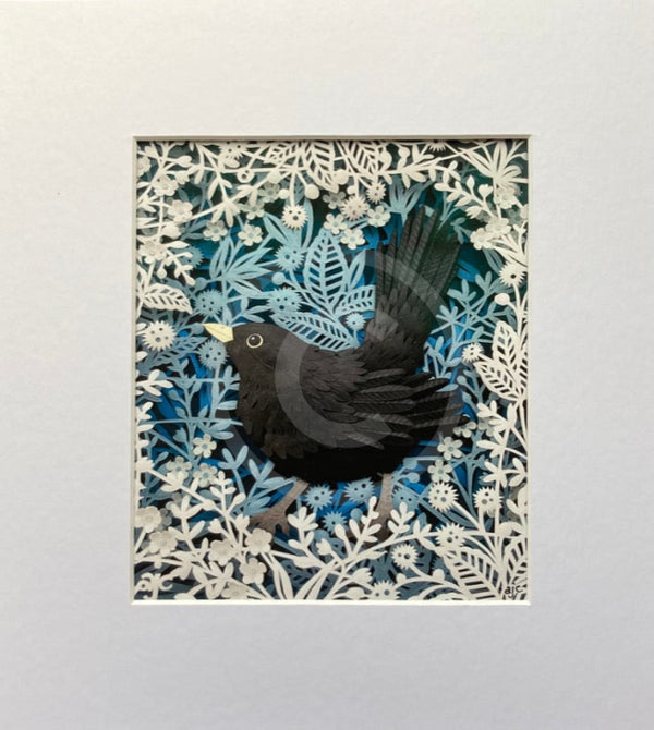 A Cheeky Blackbird, Giclée Print by Anna Cook