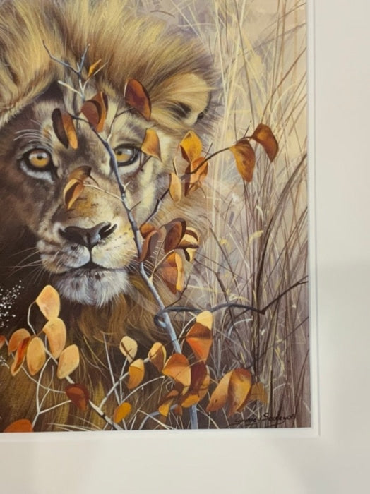 Autumn King, Limited Edition Wildlife Big Cat Lion Print by Lyndsey Selley