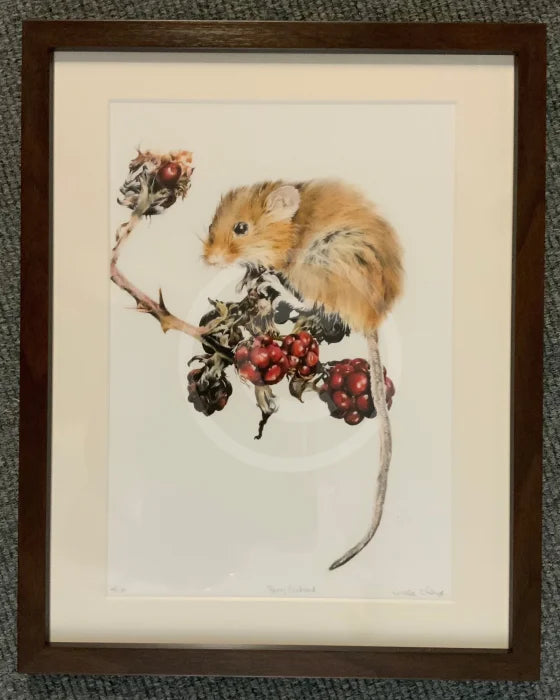 Berry Content by Nicola Gillian. Framed in Dark Brown