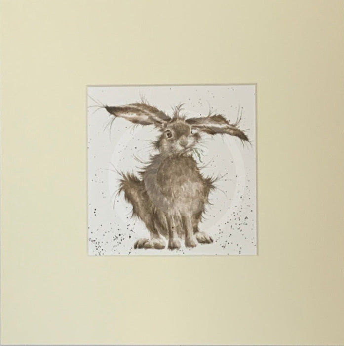 Hare Brained by Hannah Dale