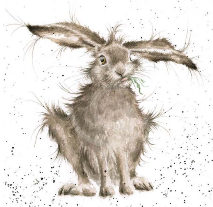 Hare Brained By Hannah Dale 300 X 300Mm