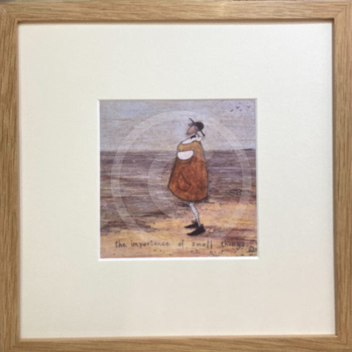 The Importance of Small Things by Sam Toft, framed