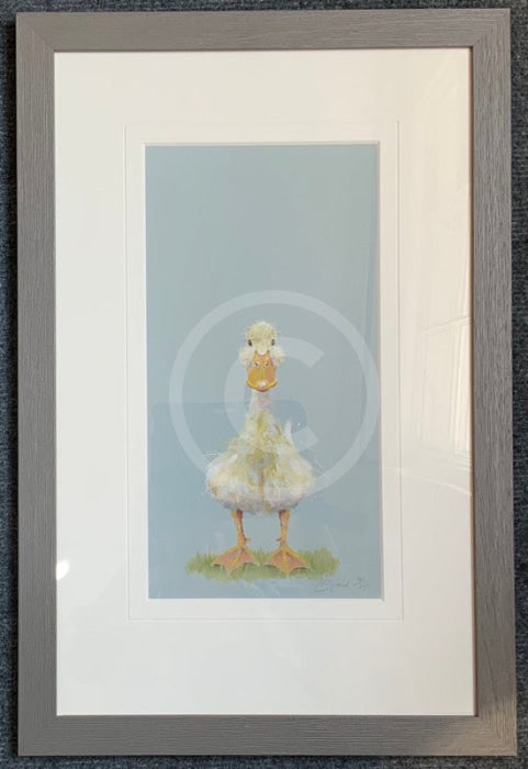 Quackers by Nicky Litchfield Limited Edition Print
