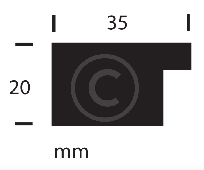 Rectangular Frames: Large Linear Black (Band C) PROFILE