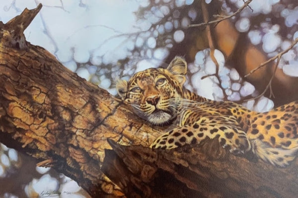 That Time Of Day, Wild Cat Limited Edition Print by Lyndsey Selley