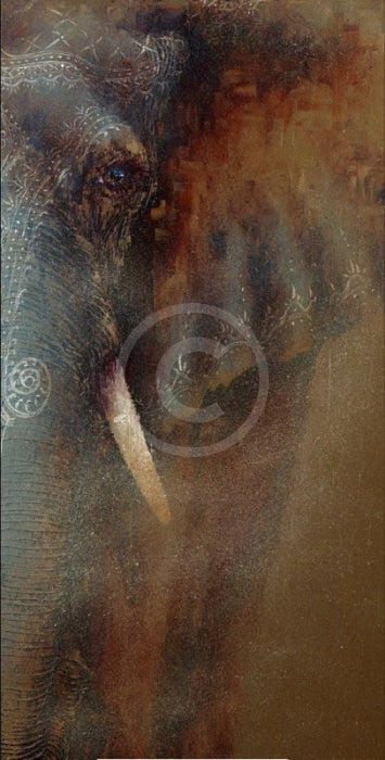 A Fading Image, Elephant Print by Amanda Stratford 