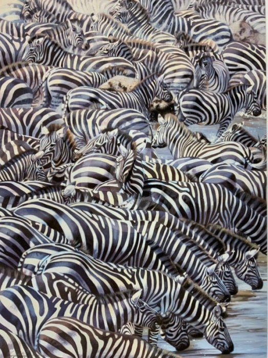 Confusion At The Edge, Limited Edition Zebra Print by Lyndsey Selley