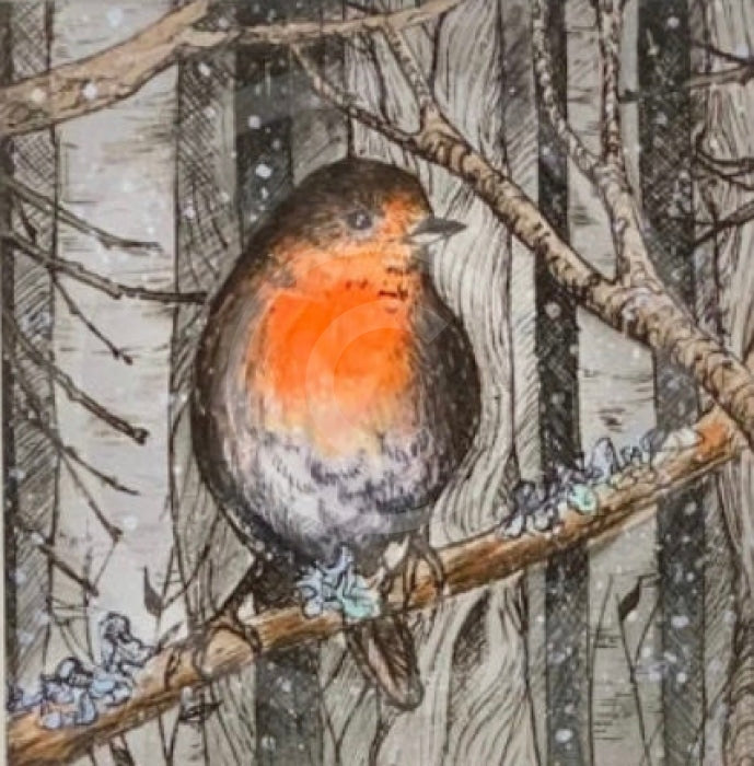 Frosty Robin Print by Daisy