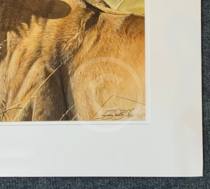 Kenyan Lioness, Limited Edition Wildlife Big Cat Print by Lyndsey Selley