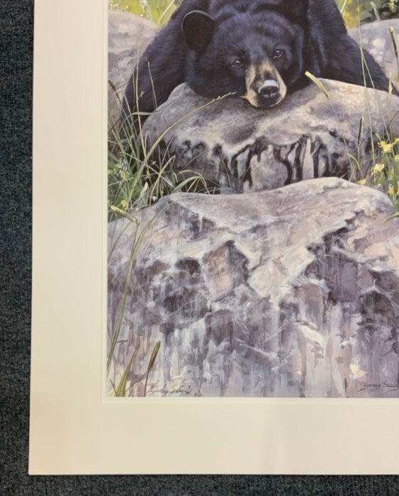 Lazy Days Bear, Limited Edition Wildlife Bear Print by Lyndsey Selley