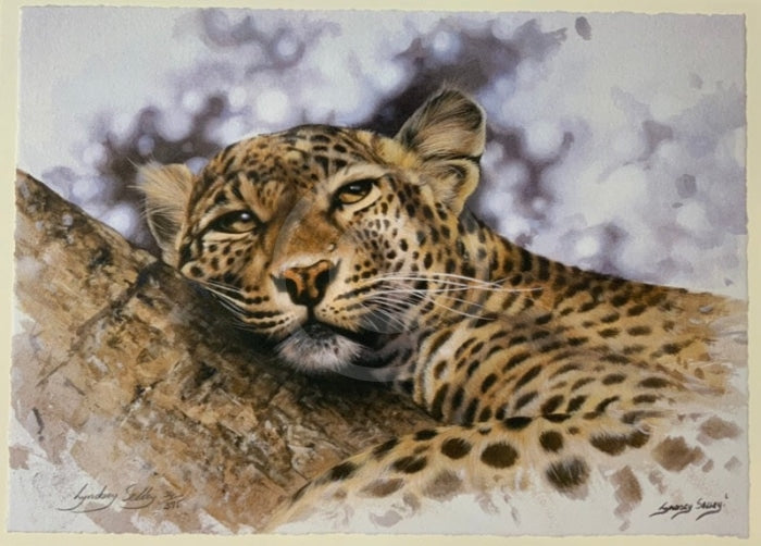 Mischief,  Limited Edition Wildlife Big Cat Leopard  Print by Lyndsey Selley