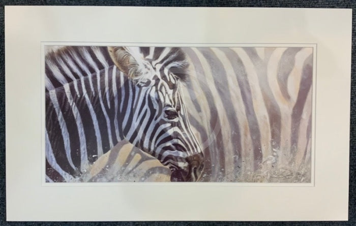 Mix & Match, Zebra Limited Edition Print by Lyndsey Selley