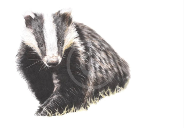 On the Wander, Badger, by Nicola Gillyon