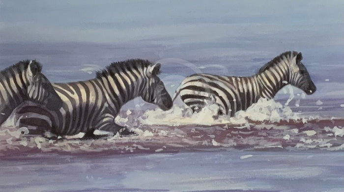 Zebra In Water, Limited Edition Zebra Print by Lyndsey Selley