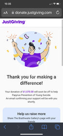 In Aid Of Papyrus - Time To Make Memories Remarque Edition One From Sam Toft £1570 Raised