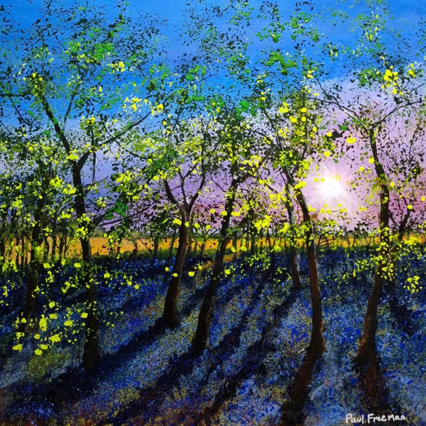 6am Bluebell Wood by Paul Freeman