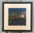 6am Bluebell Wood Miniature GICLEE PRINT by Paul Freeman Framed Small Linear Black (A) Art Print
