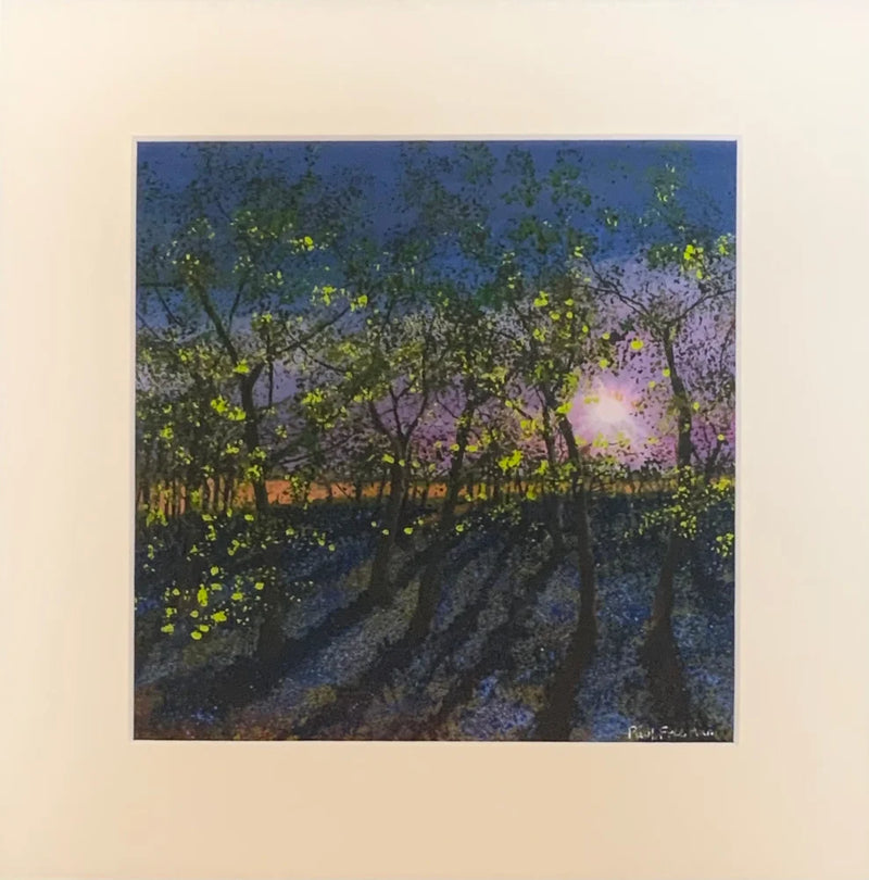 6am Bluebell Wood Miniature GICLEE PRINT by Paul Freeman Mounted Art Print