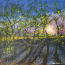 6am Bluebell Wood ORIGINAL by Paul Freeman