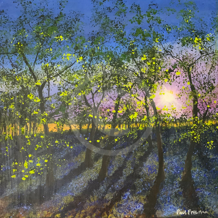 6am Bluebell Wood ORIGINAL by Paul Freeman