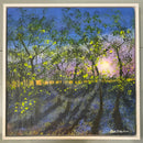 6am Bluebell Wood ORIGINAL by Paul Freeman