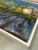 6am Bluebell Wood ORIGINAL by Paul Freeman