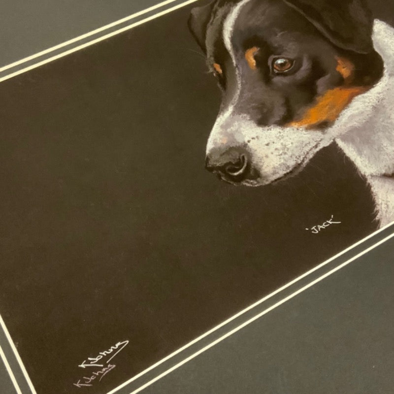 Jack, Limited Edition Print by Kay Johns
