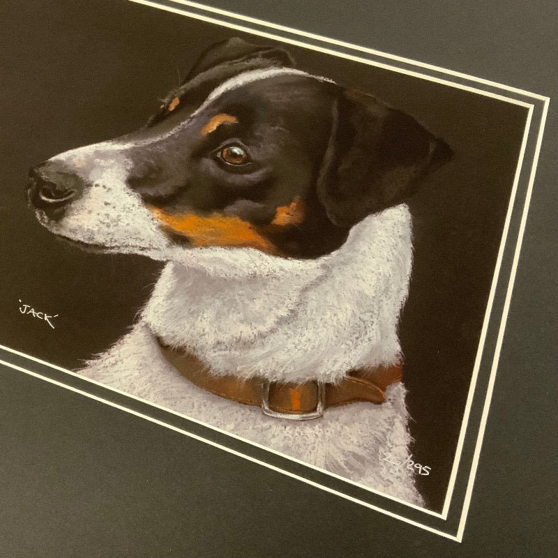 Jack, Limited Edition Print by Kay Johns