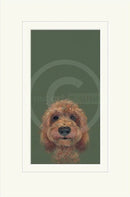 The Look by Nicky Litchfield — curly apricot doodle with big dark eyes and a black nose gazing up from the bottom of the picture against a soft dusty sage green background