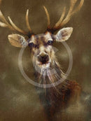 A Breath Of Fresh Air, Stag Print by Amanda Stratford 