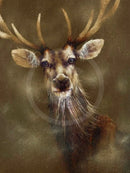 A Breath Of Fresh Air, Stag Print by Amanda Stratford 