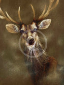 A Breath Of Fresh Air, Stag Print by Amanda Stratford 