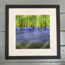 A Carpet Of Bluebells Giclee Print By Paul Freeman Framed Large Linear Black (C) Art Print