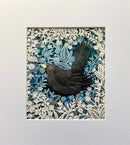 A Cheeky Blackbird, Giclée Print by Anna Cook