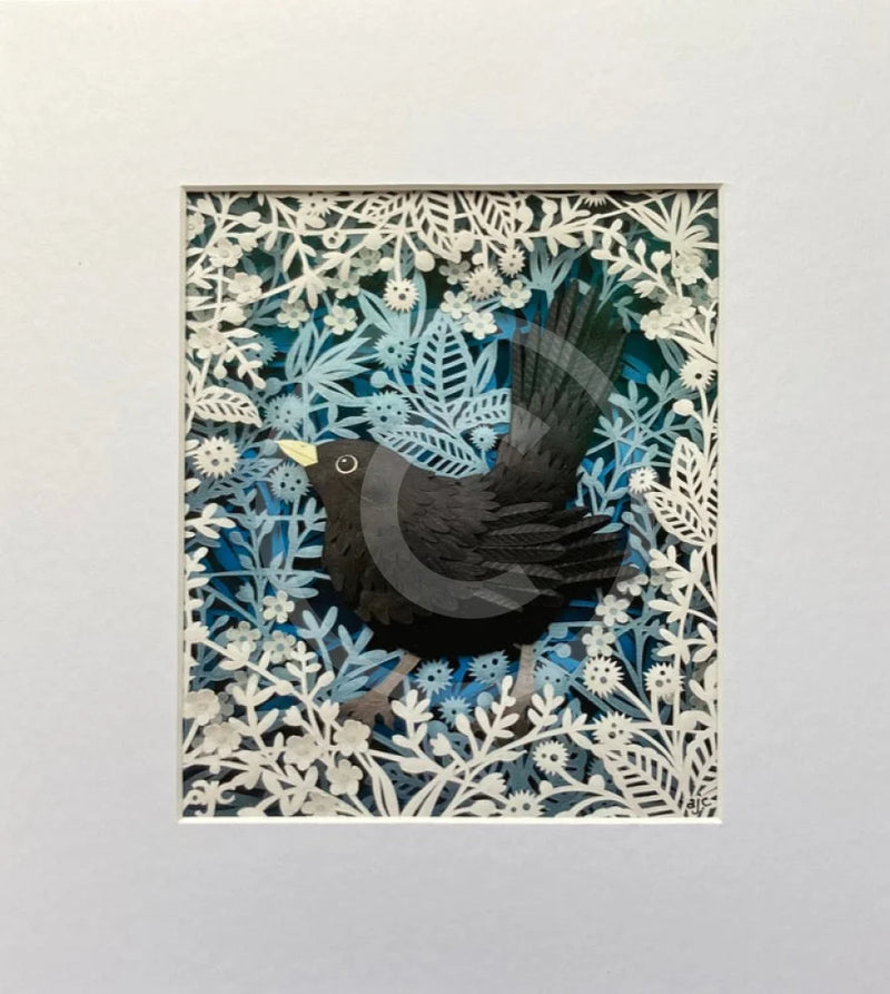 A Cheeky Blackbird, Giclée Print by Anna Cook