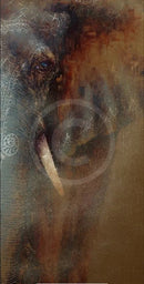 A Fading Image, Elephant Print by Amanda Stratford 