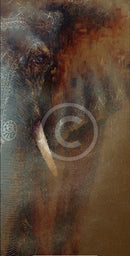 A Fading Image, Elephant Print by Amanda Stratford 
