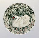 A Moment of Calm, Giclée Print of a Swan by Anna Cook 30x30cm