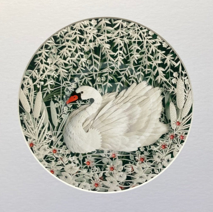 A Moment of Calm, Giclée Print of a Swan by Anna Cook 30x30cm
