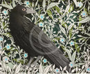A Watchful Eye, Crow Mounted Giclée Print by Anna Cook