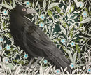 A Watchful Eye, Crow Mounted Giclée Print by Anna Cook