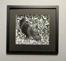 A Watchful Eye, Crow Framed Giclée Print by Anna Cook