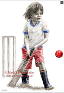 Alfies Adventures 2, Owzat!  by Mark Braithwaite