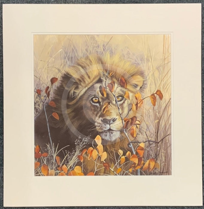 Autumn King, Limited Edition Wildlife Big Cat Lion Print by Lyndsey Selley