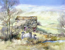 Barn at Bainbridge  by John Sibson