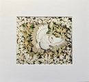 Barn Owl in Flight, Giclée Print by Anna Cook