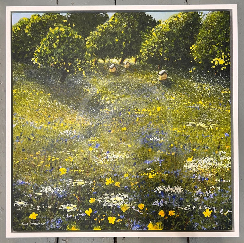 Beehives by Paul Freeman