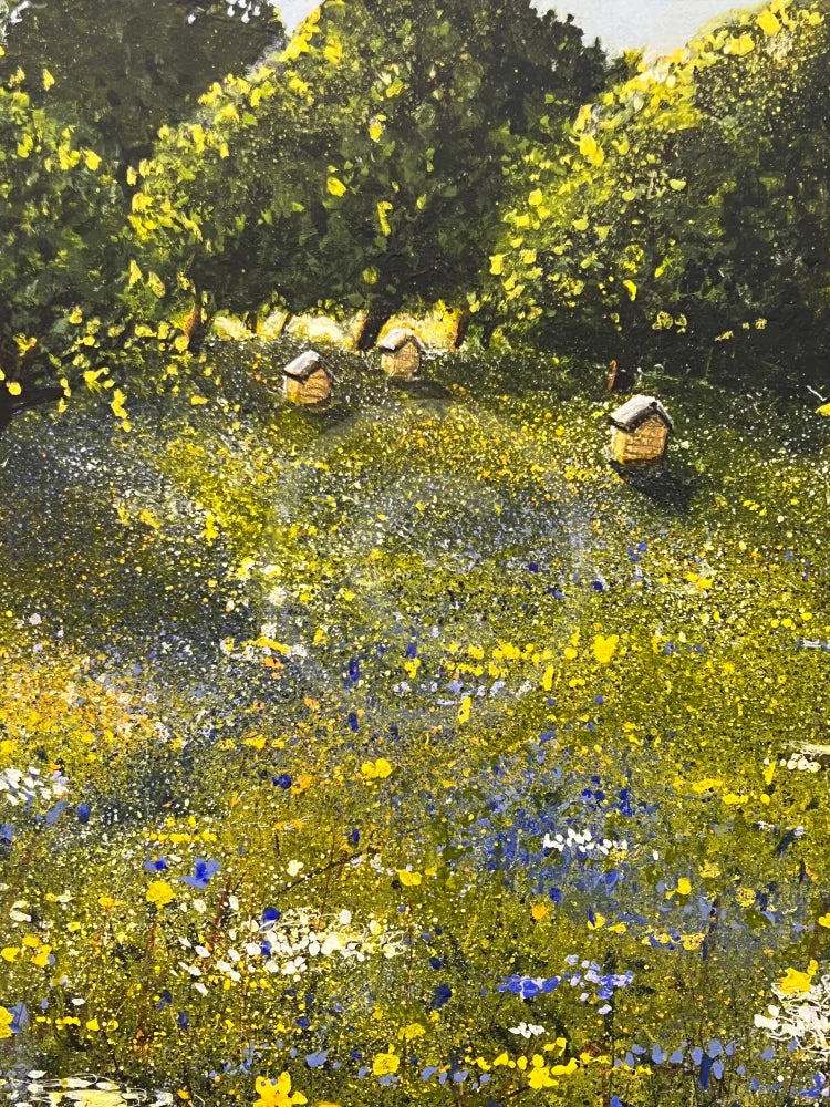 Detail image, Beehives by Paul Freeman