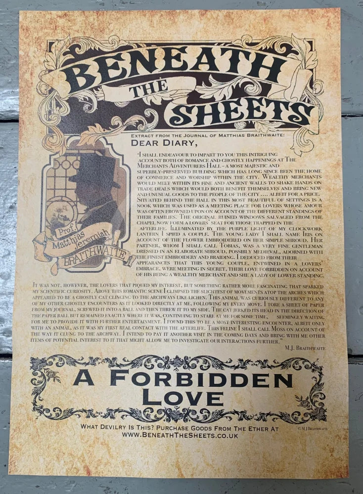 Beneath the Sheets; A Forbidden Love - Enchanted Edition The Professor's Diary