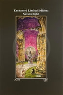 Beneath the Sheets; The Black Abbot - Enchanted Limited Edition; Celestial Lights Mounted Embellished Print